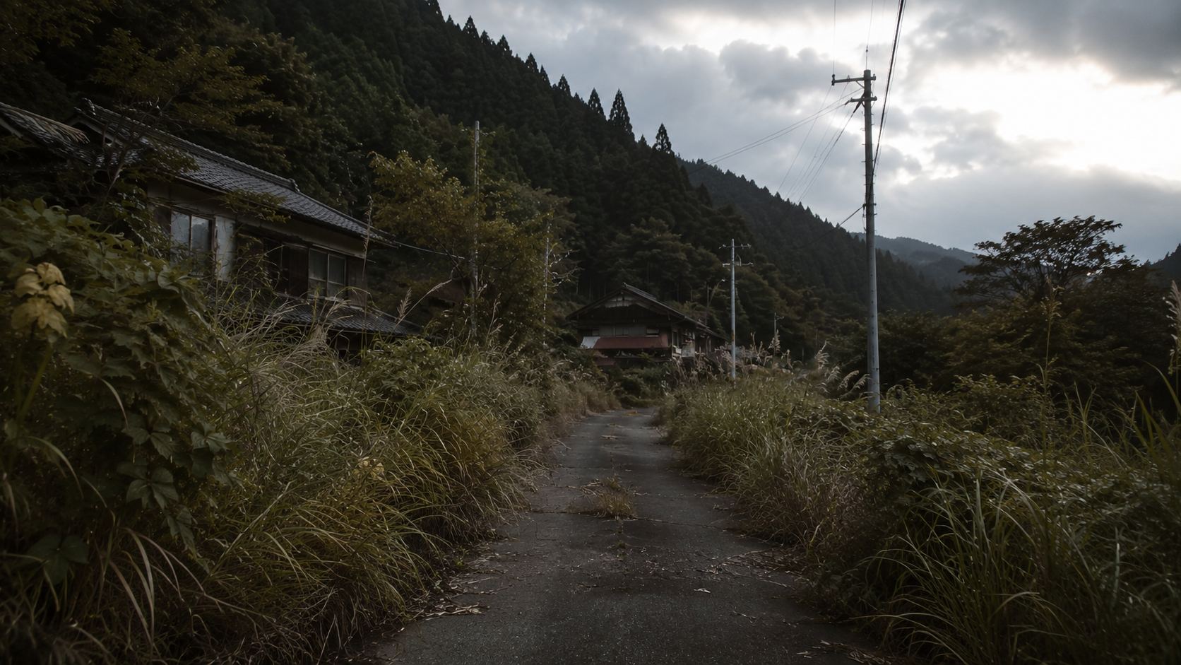 image03.png